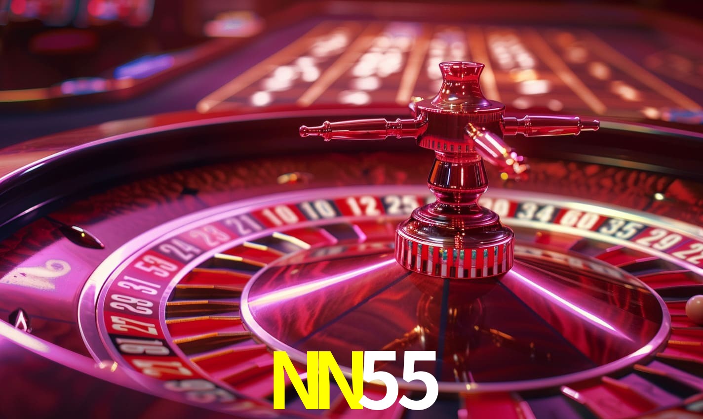 Programa VIP NN55